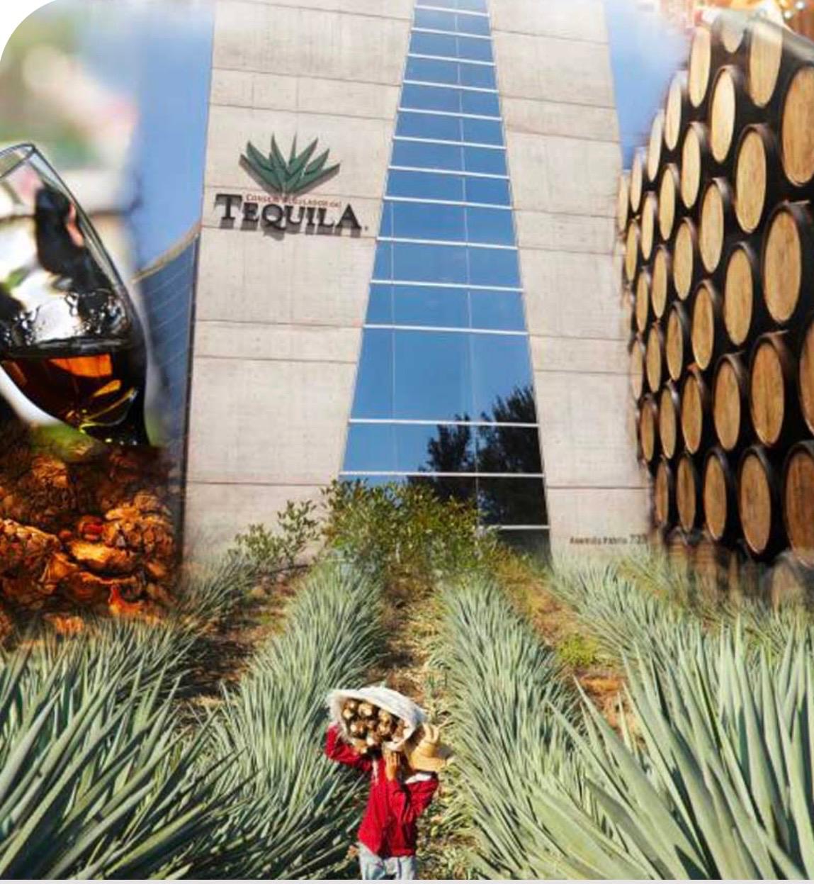 Tequila: la potencia mexicana que conquistó al mundo